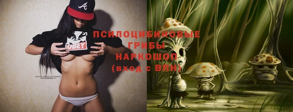 дживик Белоозёрский