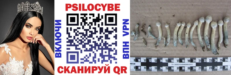 Купить  Бутурлиновка  Псилоцибиновые грибы мицелий 